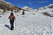 Dai boschi fioriti di Cornalba alle nevi dell鈥橝LBEN il 31 gennaio 2020- FOTOGALLERY